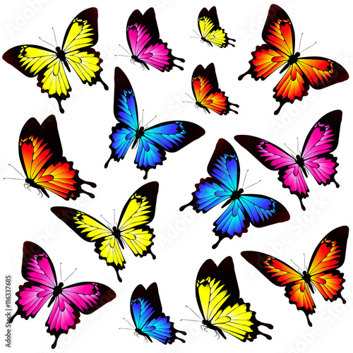 butterflies design