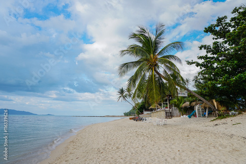 Tropical beach with palm tree against sky © FootageLab