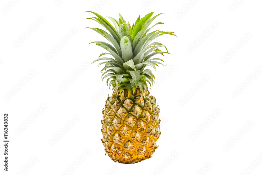 Isolated of pineapple fruit on white background Isolated of pineapple fruit on white background