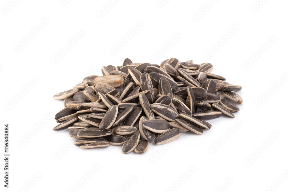 sun flower seed on white background sun flower seed on white background