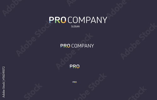 Pro colored flat logo