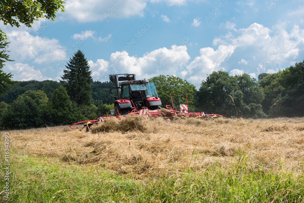 Fototapeta premium tractor with tedder turning hay on the meadow