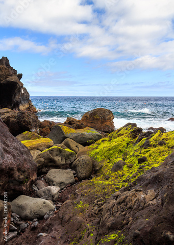 Moss stone and ocean on Madeira island, Portugal