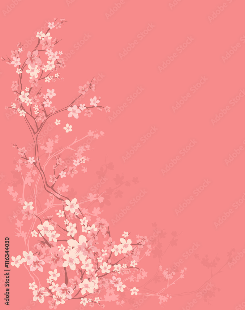 spring background with tree blossom