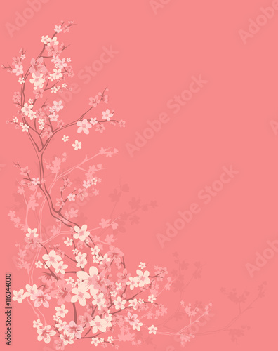 spring background with tree blossom