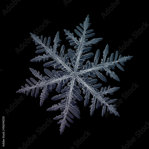 Konstfotografi Snowflake isolated on black background: macro photo of real snow crystal, captured on glass surface