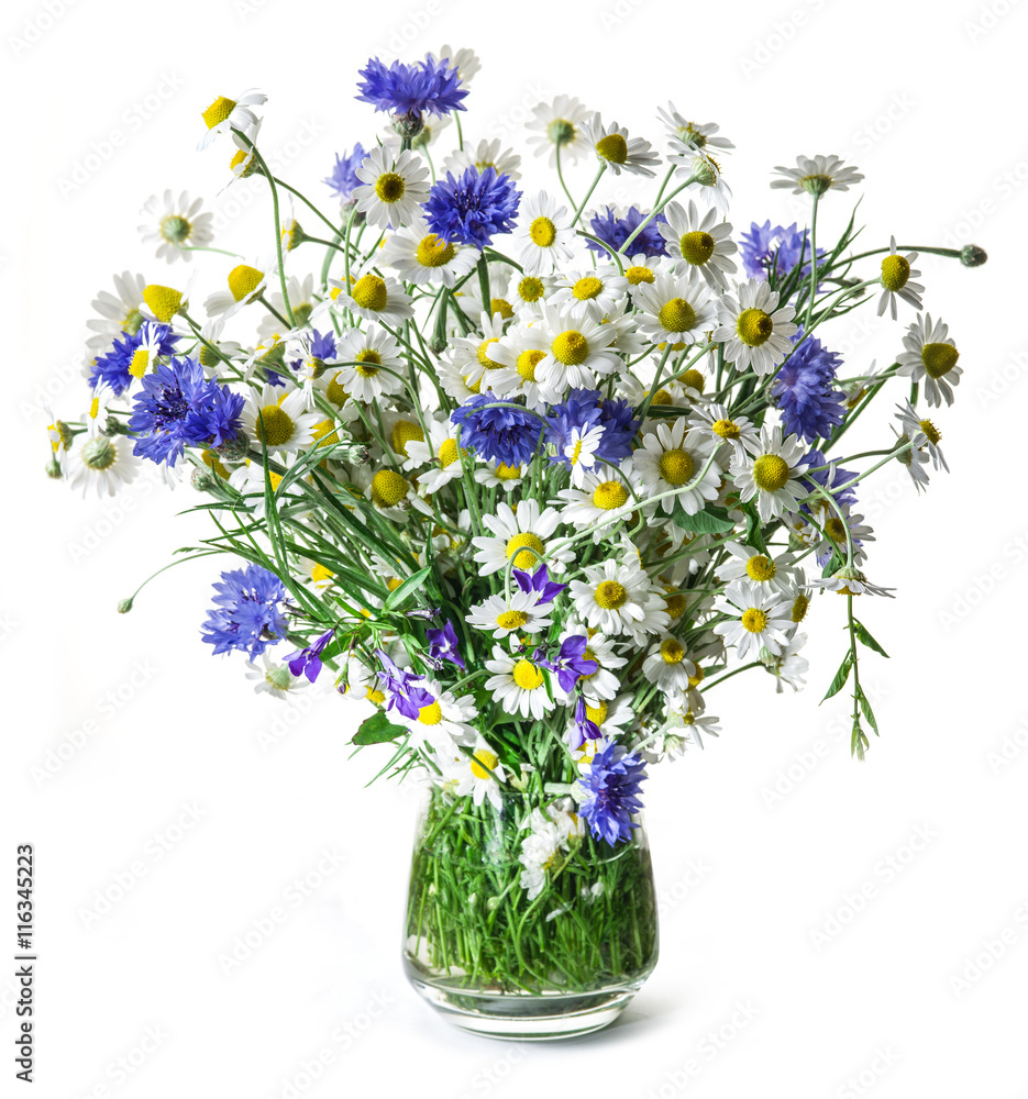 Bouquet of chamomiles and cornflowers in the vase on the white b Bouquet of chamomiles and cornflowers in the vase on the white b