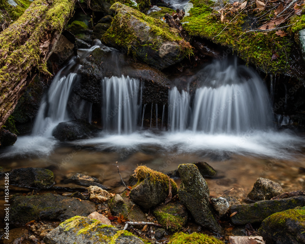 Obraz premium „Windy Gap” Chattahoochee National Forest w wielkim stanie Georgia.