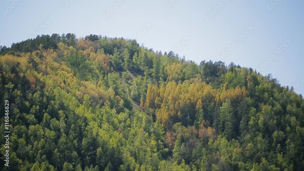 Tremendous rock slope is covered with rich dense forest.