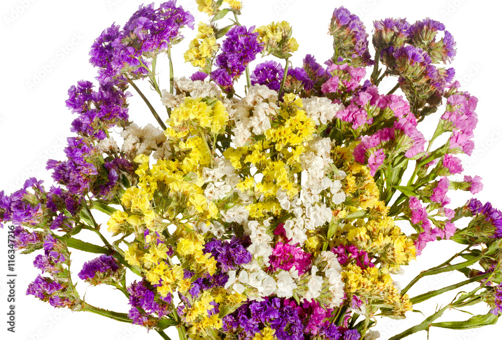 Fototapeta premium white background bouquet of colorful wildflowers