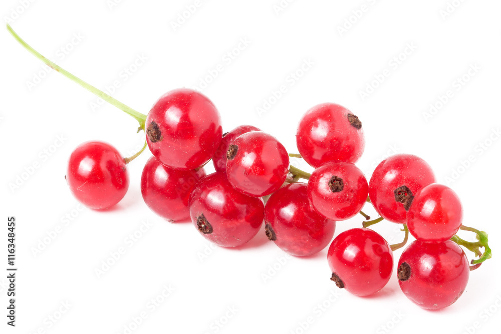 red currant isolated on a white background closeup