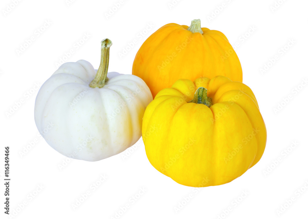 Obraz premium Pumpkins isolated on white background