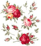 Vector vintage rose and bud collection. Antique bouquet of flowers.