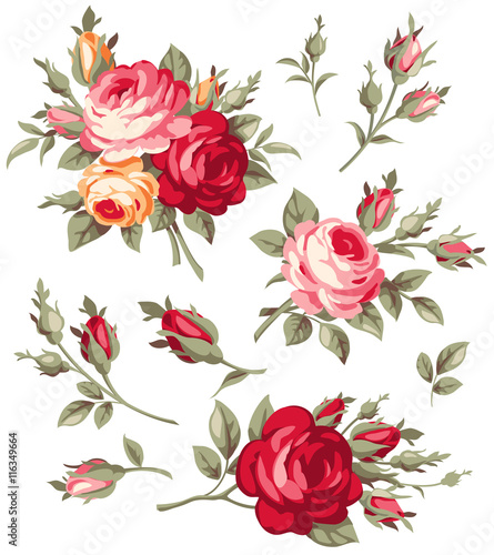 Vector vintage rose and bud collection. Antique bouquet of flowers.