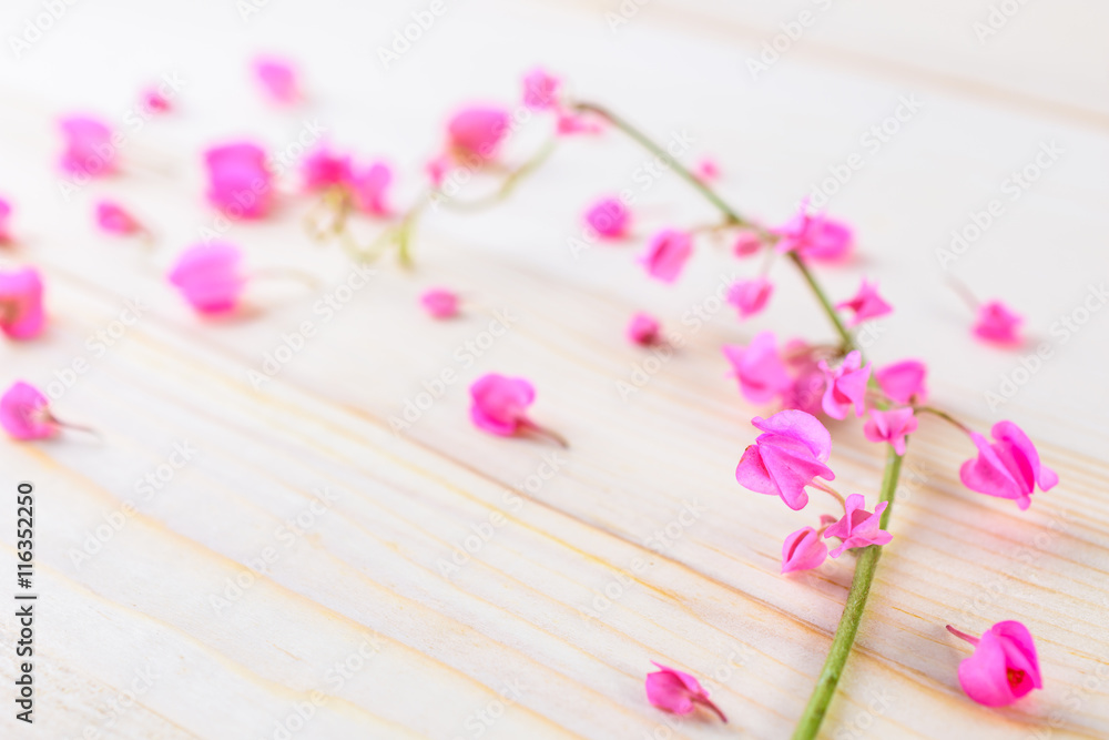 flowers on a plank flowers on a plank
