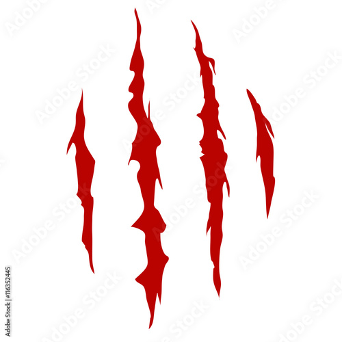 Claws scratch mark
