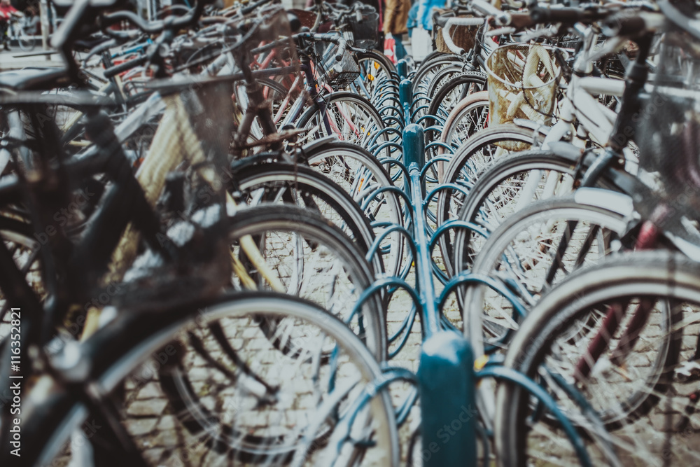 crowd of bicycles in Copenhagen crowd of bicycles in Copenhagen