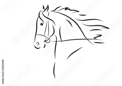 Fototapeta Naklejka Na Ścianę i Meble -  Vector illustration of horse head