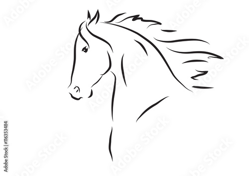 Vector illustration of horse head