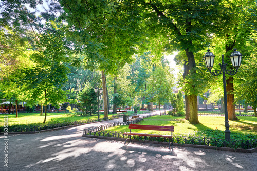 Fototapeta morning in city park, bright sunlight and shadows, summer season, beautiful land
