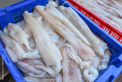 Fresh Squid or seafood on a market stall