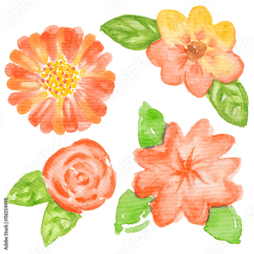 Hand drawn watercolor flowers