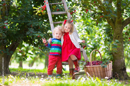 Kids picking cherry on a fruit farm © famveldman