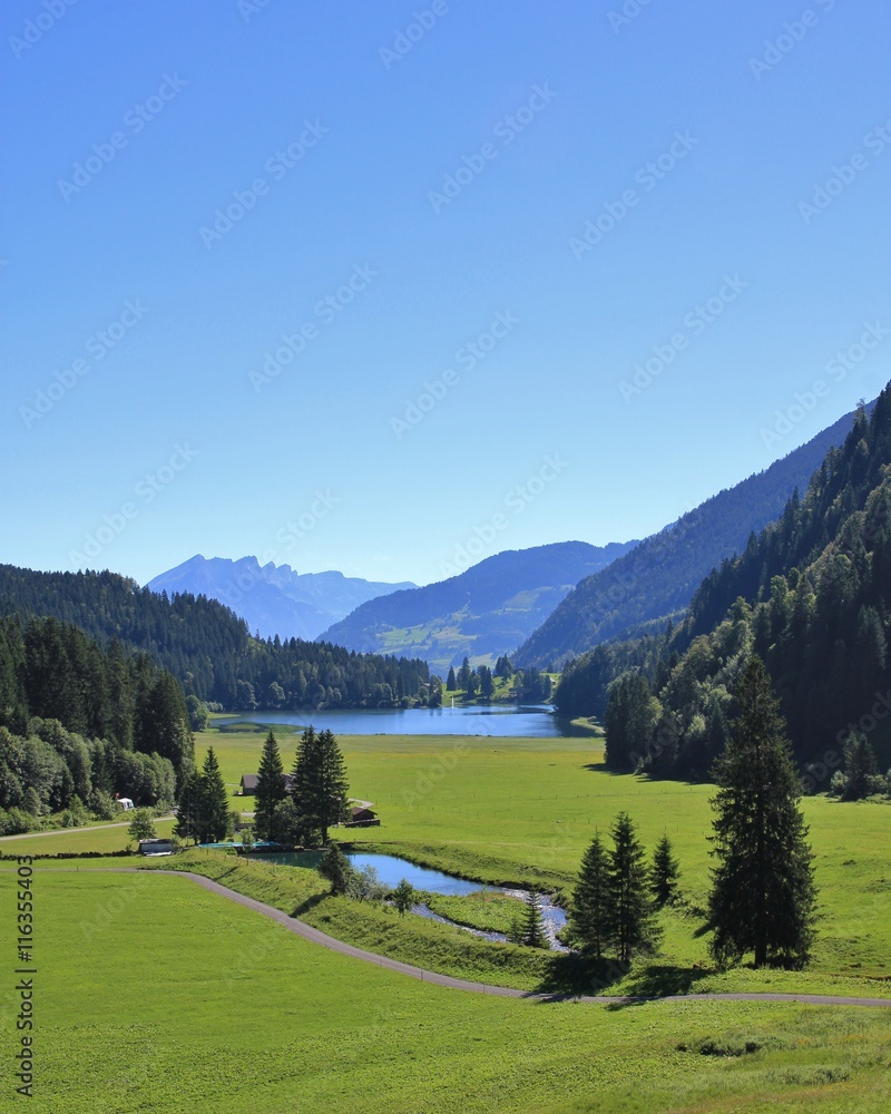 Idyllic lake Obersee and green meadow