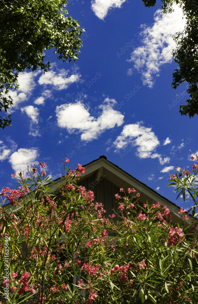 House rooftop with Clear Blue Sky and Clouds 