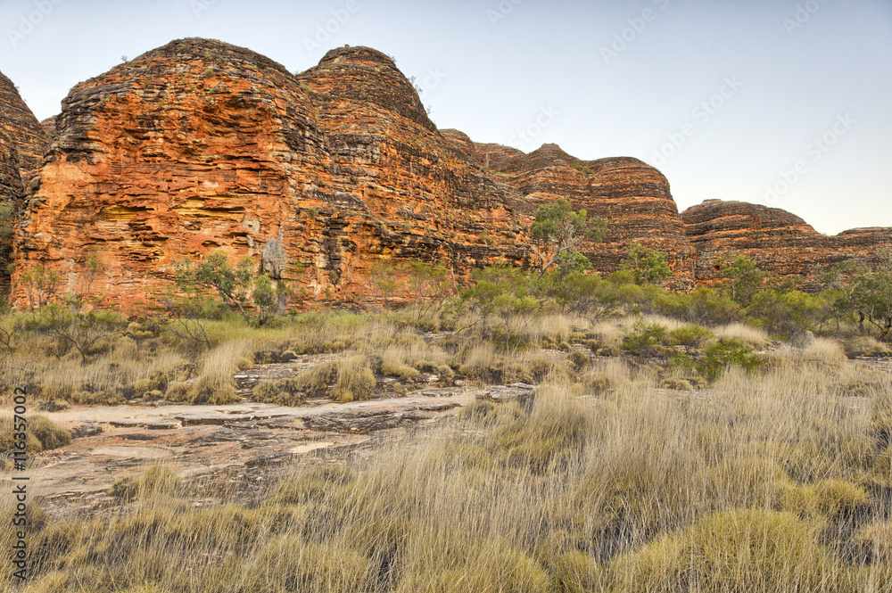 Beehives in Bungle Bungles National Park