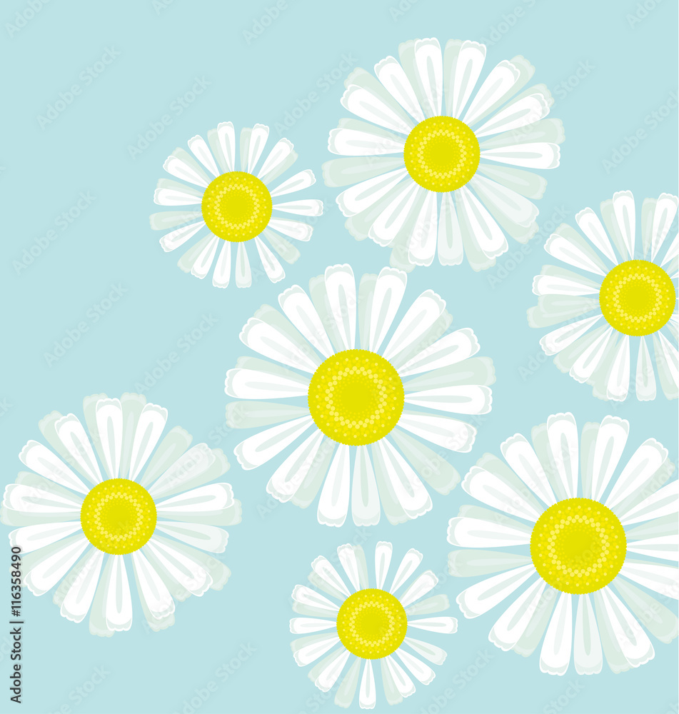 Fototapeta premium daisy bouquet on blue color background vector illustration. deco