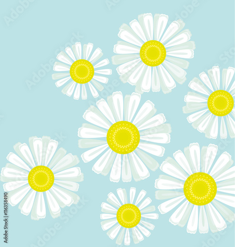 daisy bouquet on blue color...