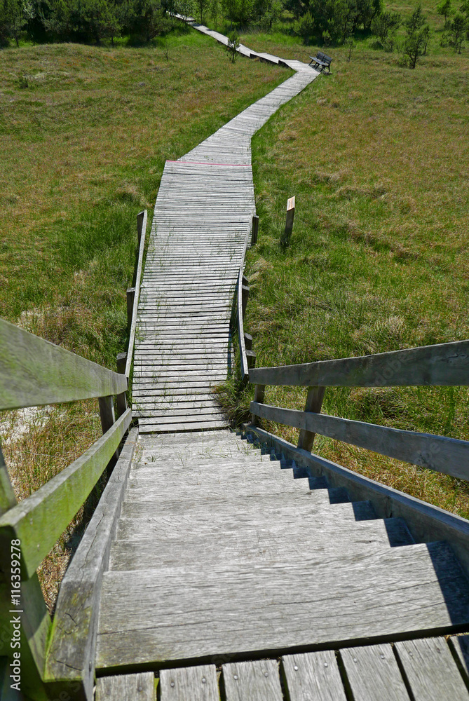 Zwei blaue Bänke an einem Bohlenweg durch grasbewachsene Dünen