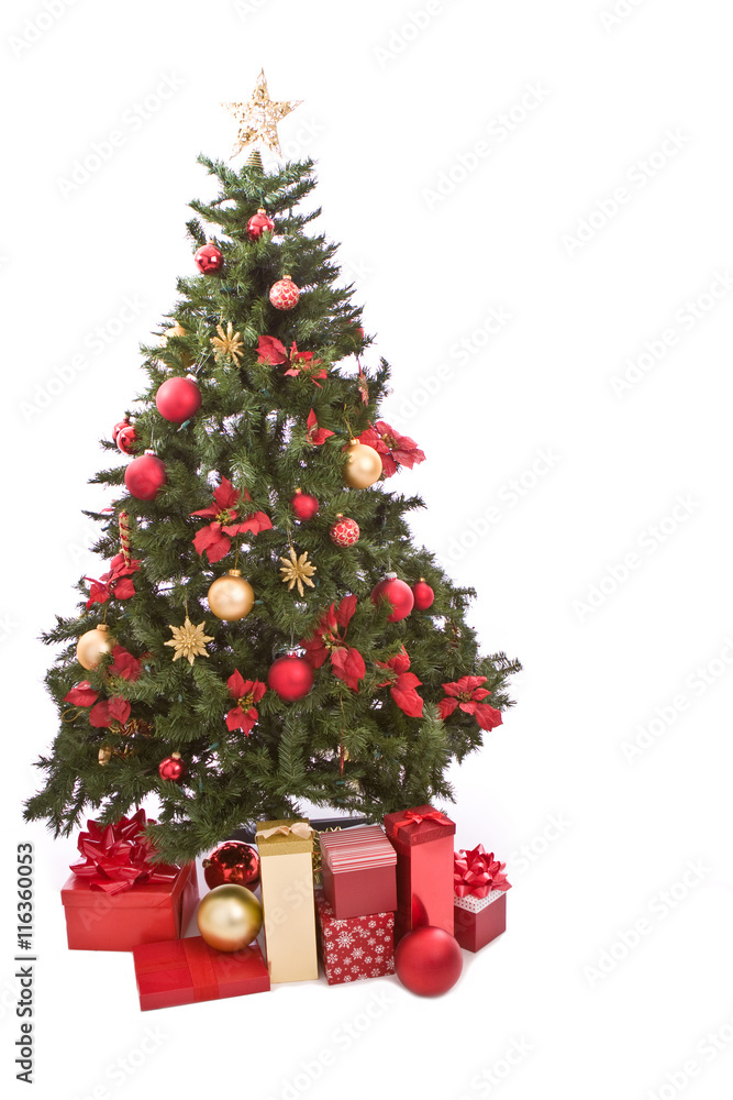 Christmas Tree With Present Isolated on White Christmas Tree With Present Isolated on White