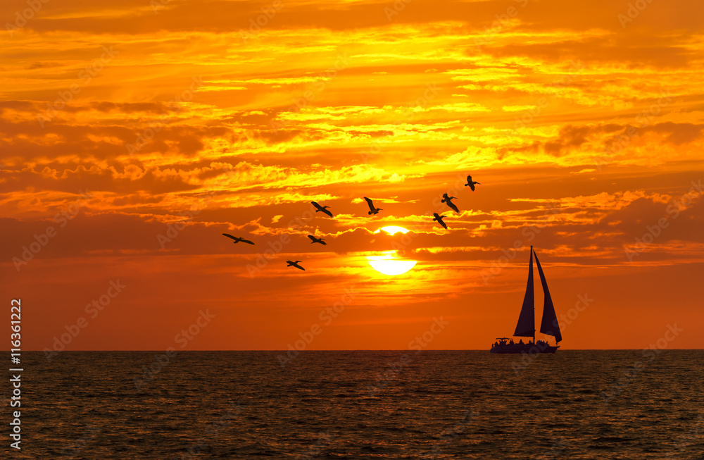 Fototapeta premium Sunrise Sailboat Ocean Sailing Beautiful Birds Sail Boat Silhouette Sunset Scenic