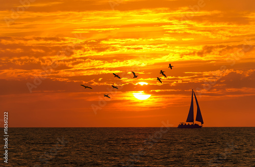 Sunrise Sailboat Ocean Sailing Beautiful Birds Sail Boat Silhouette Sunset Scenic