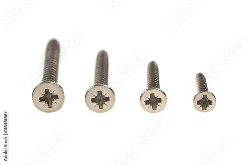 Tableau sur toile Philips Head Screws in various lengths