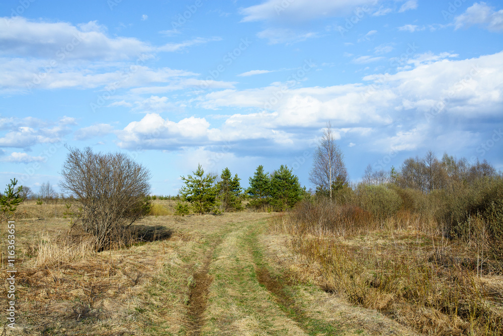 Russian countryside road with cloudy sky at springtime. Russian countryside road with cloudy sky at springtime.