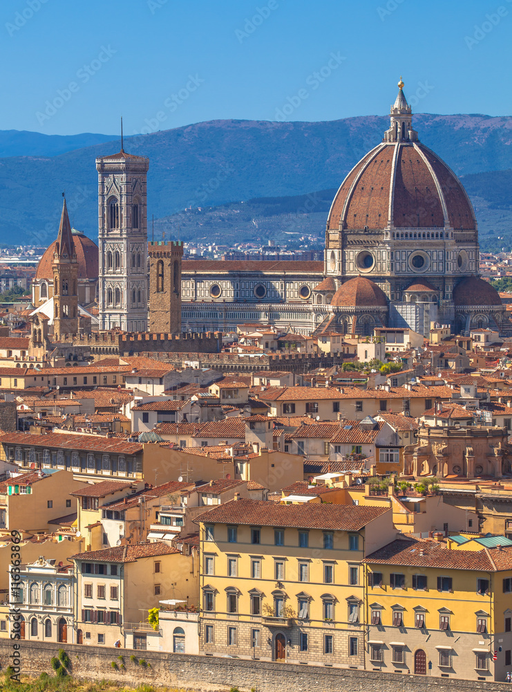 View of the Historic City of Florence