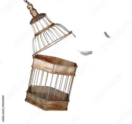 Fotografia, Obraz Escaping from the cage