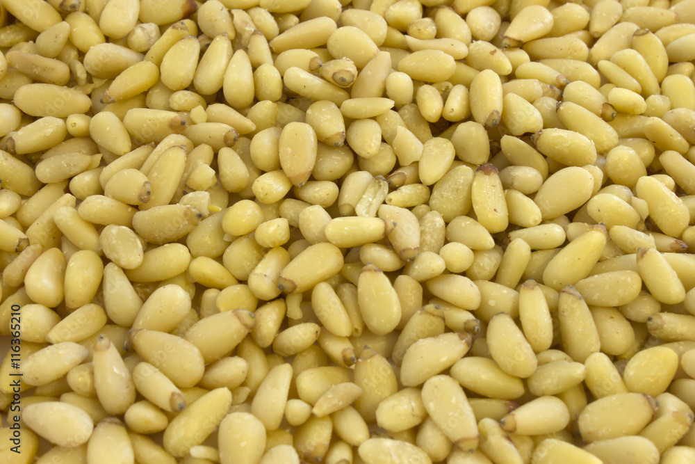This is a photograph of Pine nuts background This is a photograph of Pine nuts background