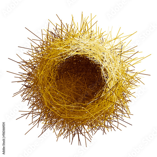 Vector empty birds nest. Top view