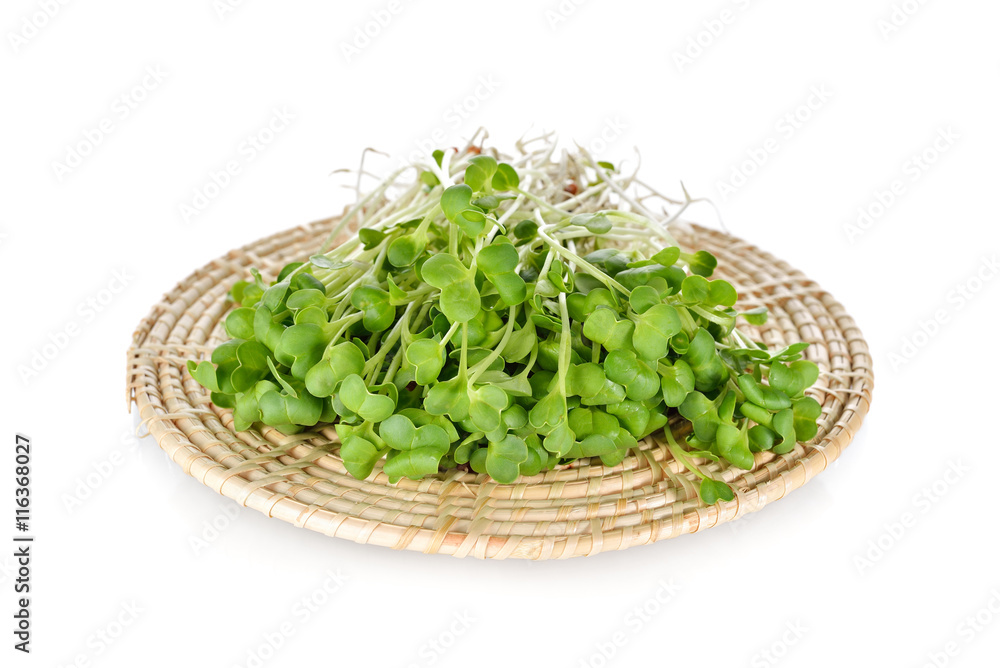 fresh radish sprouts or Kaiware Daikon on bamboo mat sket with w fresh radish sprouts or Kaiware Daikon on bamboo mat sket with w