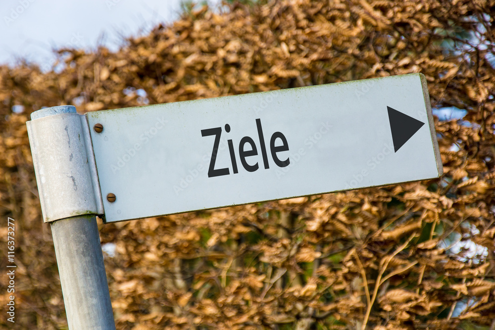 Schild 92 - Ziele