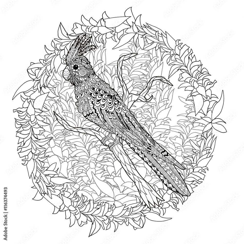 Obraz premium Parrot corella on the branch.