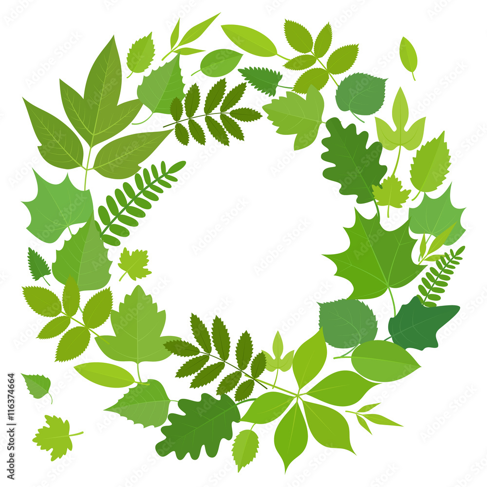 Wreath of green flora elements. Round frame with summer leaves, circle shape template. Vector stock illustration.