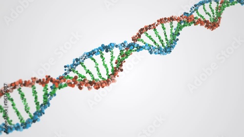 3D DNA Structure Animation