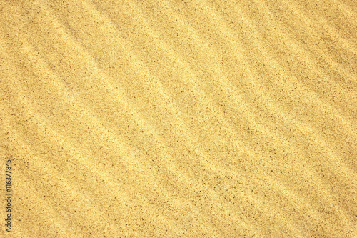 Sand Texture./Sand Texture