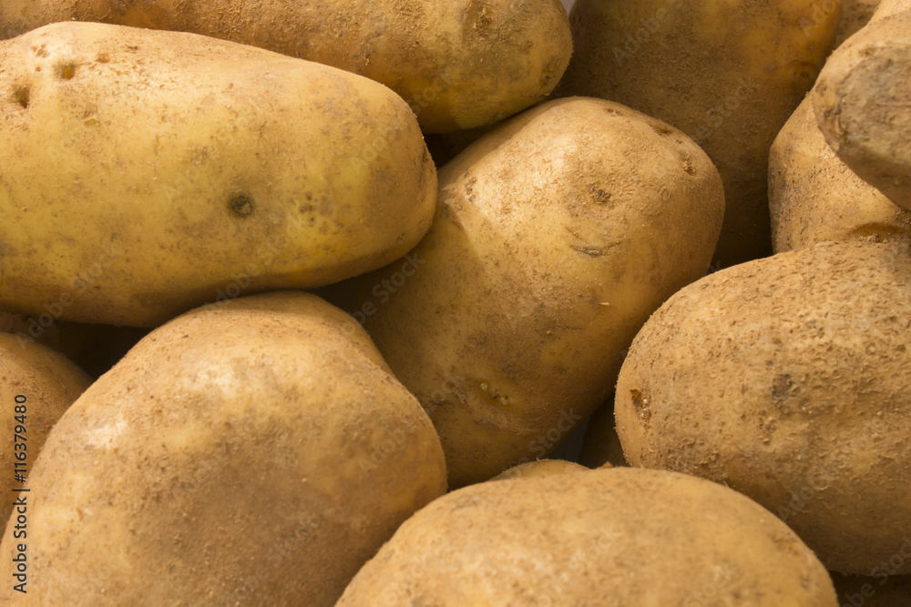 This is a photograph of fresh Potatoes This is a photograph of fresh Potatoes