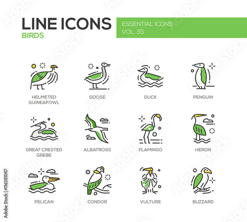 Birds - line design icons set